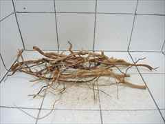 ルートブランチ セット4013