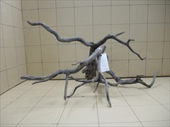 黒枝流木8001 LLサイズ