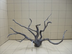 黒枝流木8002 LLサイズ