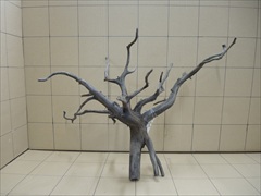 黒枝流木8003 LLサイズ