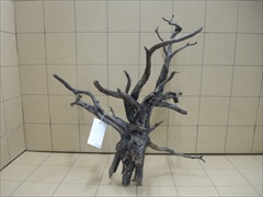 黒枝流木8004 LLサイズ