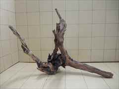 ホーンウッド1004