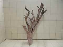 ホーンウッド1005