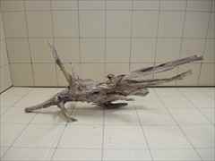 ホーンウッド1011