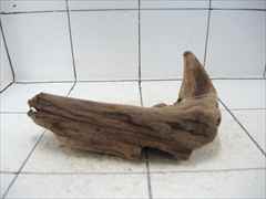 プレミアム流木5122