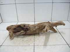 プレミアム流木5123