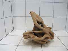 プレミアム流木5102