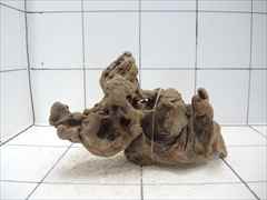 プレミアム流木5105