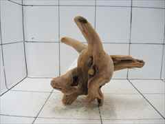 プレミアム流木5109