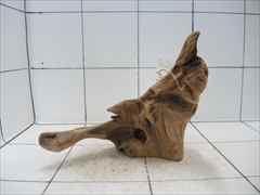 プレミアム流木5110