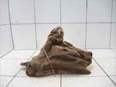 プレミアム流木5115