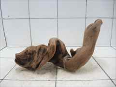 プレミアム流木5117