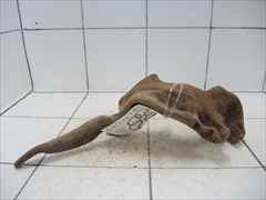 プレミアム流木5116