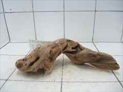 プレミアム流木5119