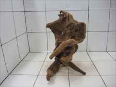 プレミアム流木5004