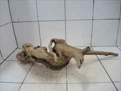 プレミアム流木5005