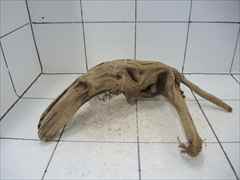 プレミアム流木5010