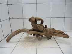 プレミアム流木5012