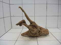 プレミアム流木5604