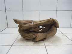 プレミアム流木5606