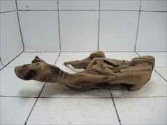 プレミアム流木5607