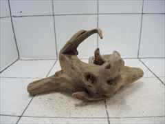 プレミアム流木5610