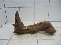 プレミアム流木5613