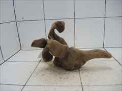 プレミアム流木5616