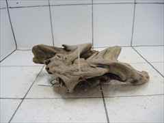 プレミアム流木5617