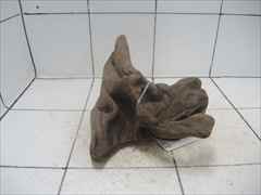 プレミアム流木5619