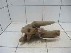 プレミアム流木5620