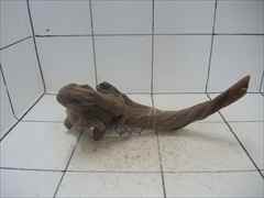 プレミアム流木5621