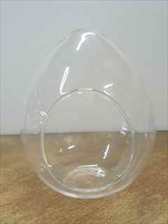 テラリウム ガラスポット