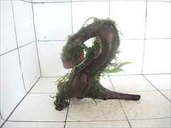 ミクロソリウム+モス付流木01