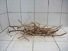 ルートブランチ セット4001