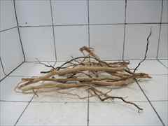 ルートブランチ セット4002