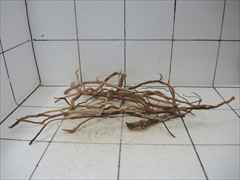 ルートブランチ セット4006