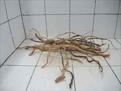 ルートブランチ セット4011