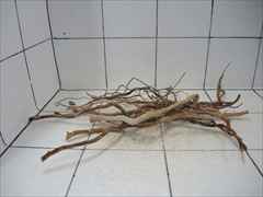 ルートブランチ セット4013