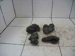 暗黒石4個セット 2022