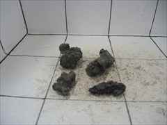 暗黒石4個セット 2027