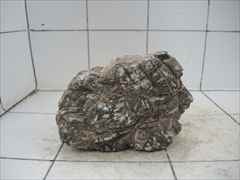 ライケンストーンn101