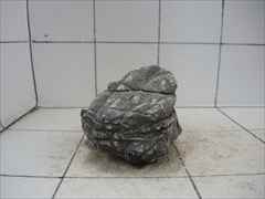 ライケンストーンn102