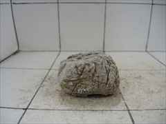 ライケンストーンn105