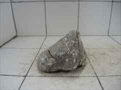 ライケンストーンn106