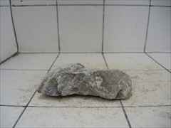 ライケンストーンn107