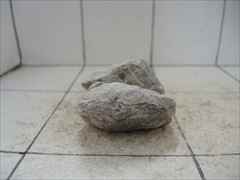 ライケンストーンn108