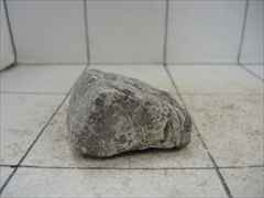 ライケンストーンn111