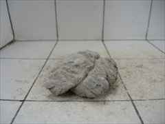 ライケンストーンn112