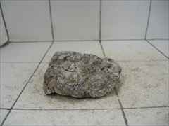 ライケンストーンn113